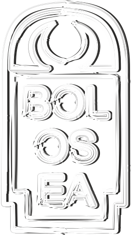 Logo Bolosea